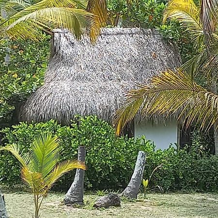 Playa Pikua Ecolodge Guachaca Exterior photo