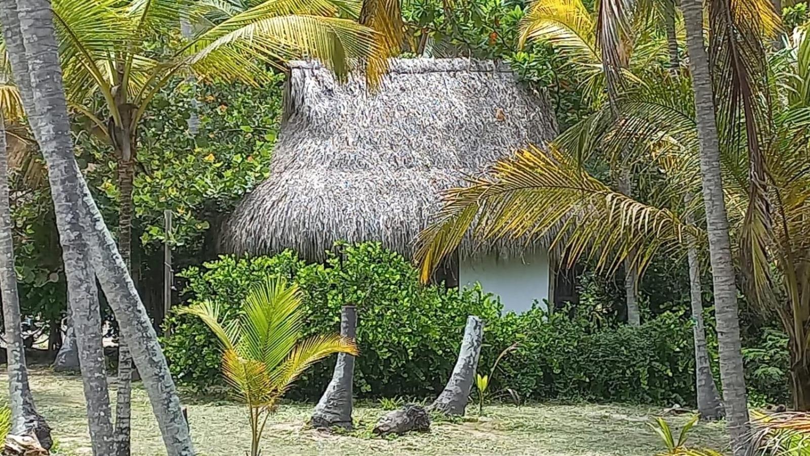 Playa Pikua Ecolodge Guachaca Exterior photo