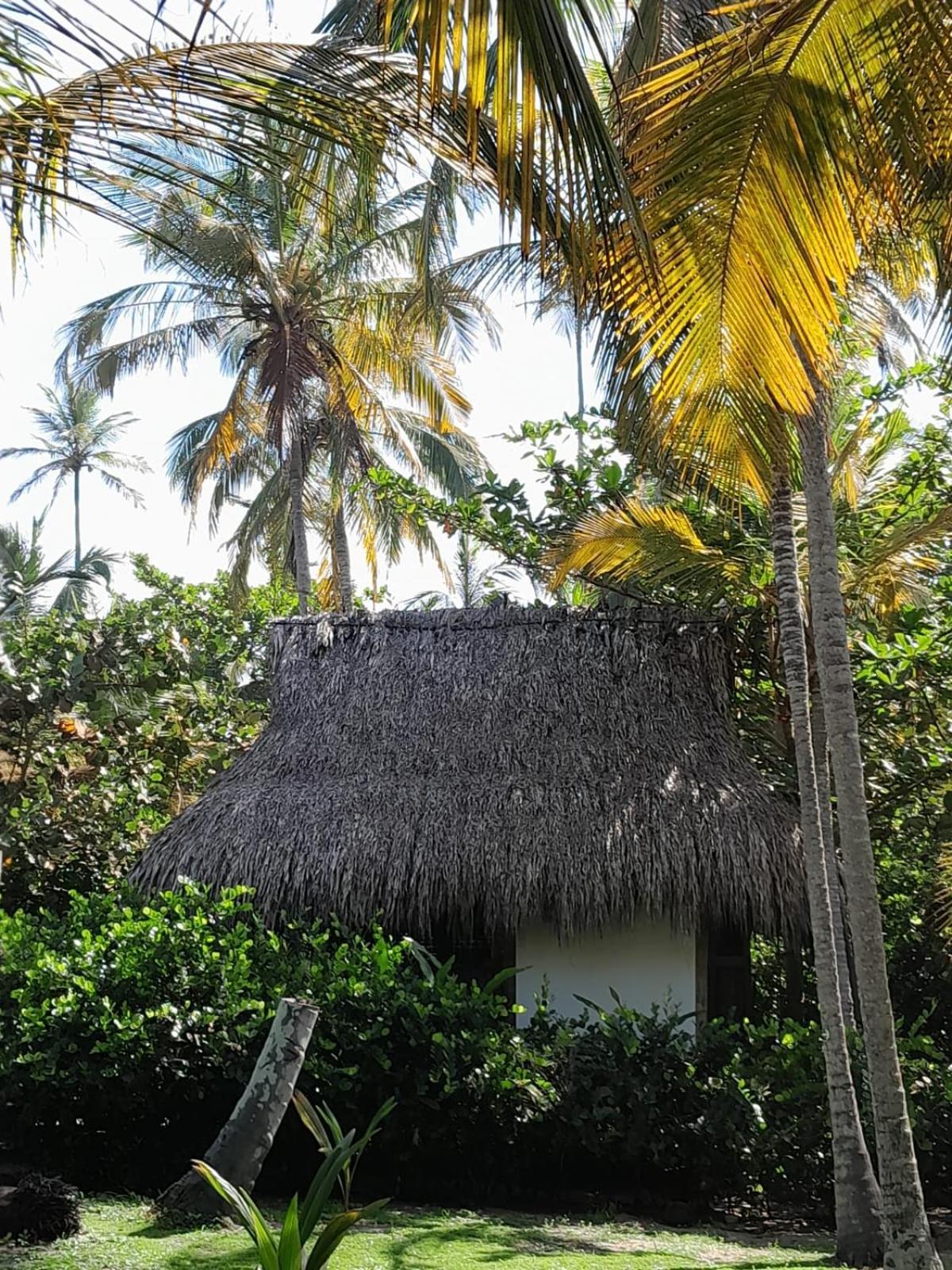 Playa Pikua Ecolodge Guachaca Exterior photo